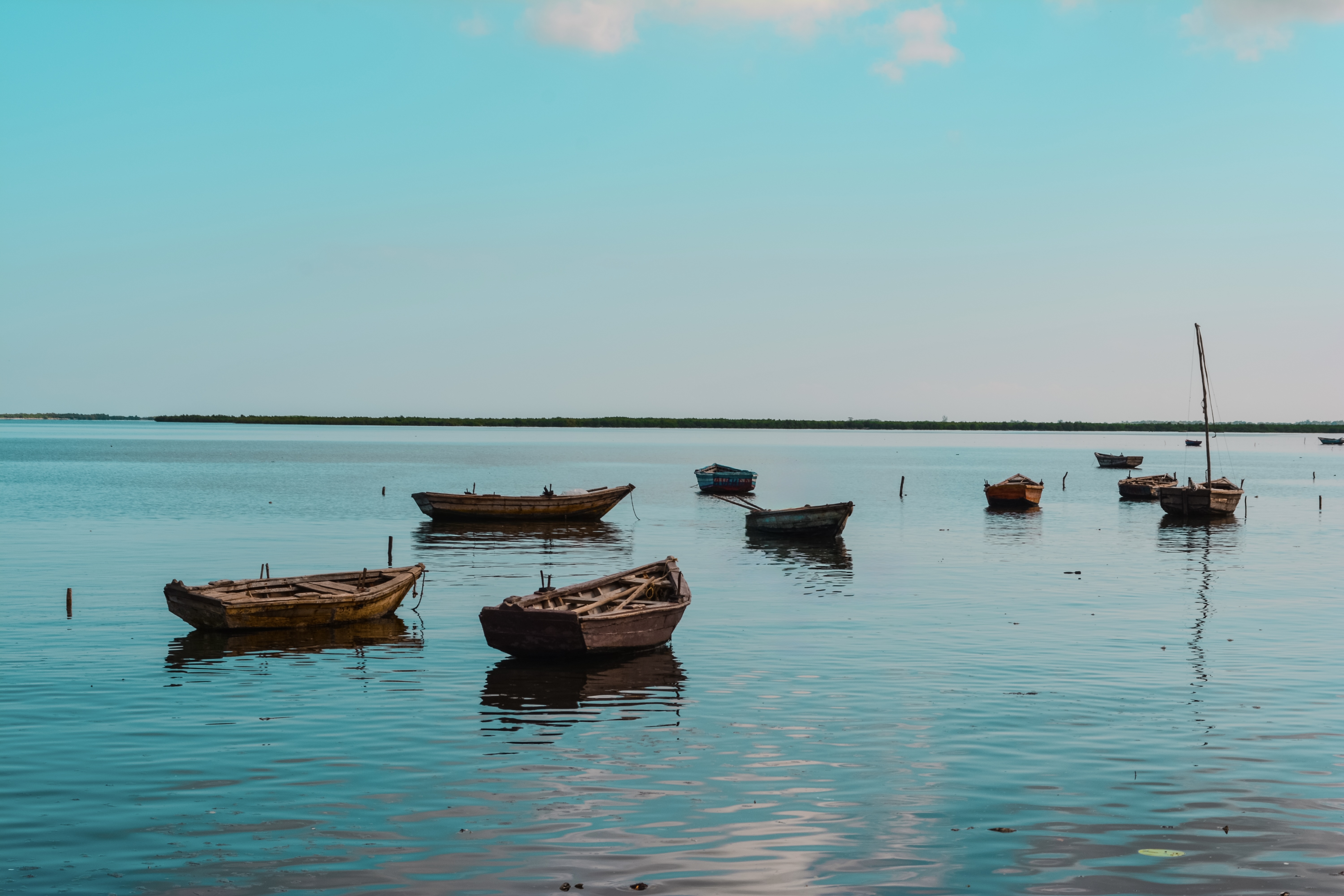 Sri Lanka Landscape