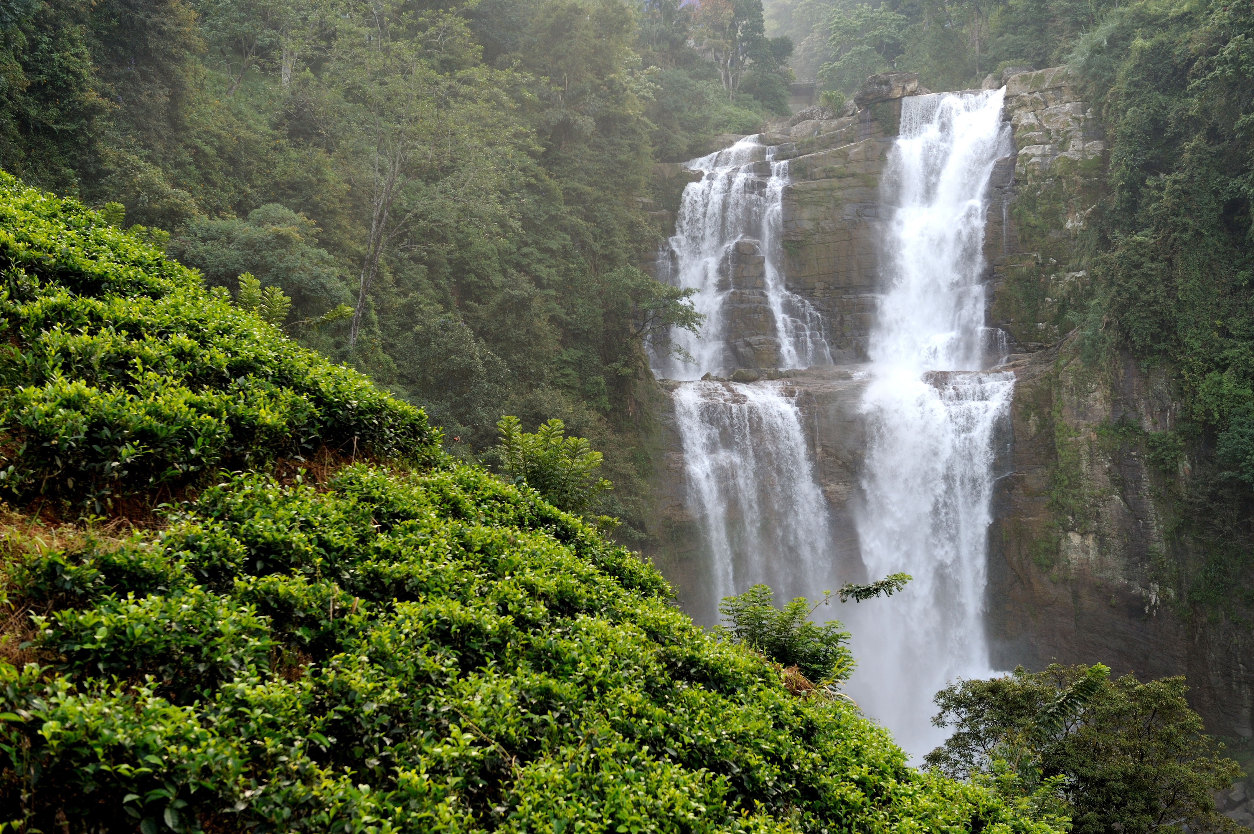 Nuwara Eliya